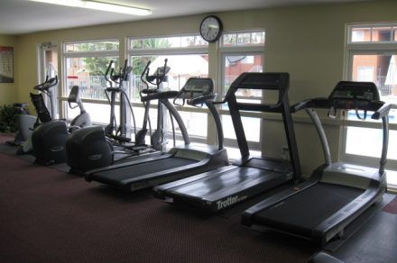 The fitness center at Stadium Arms Apartments includes ellipticals, treadmills, and more!