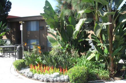 Stadium Arms Apartments exterior view and foliage
