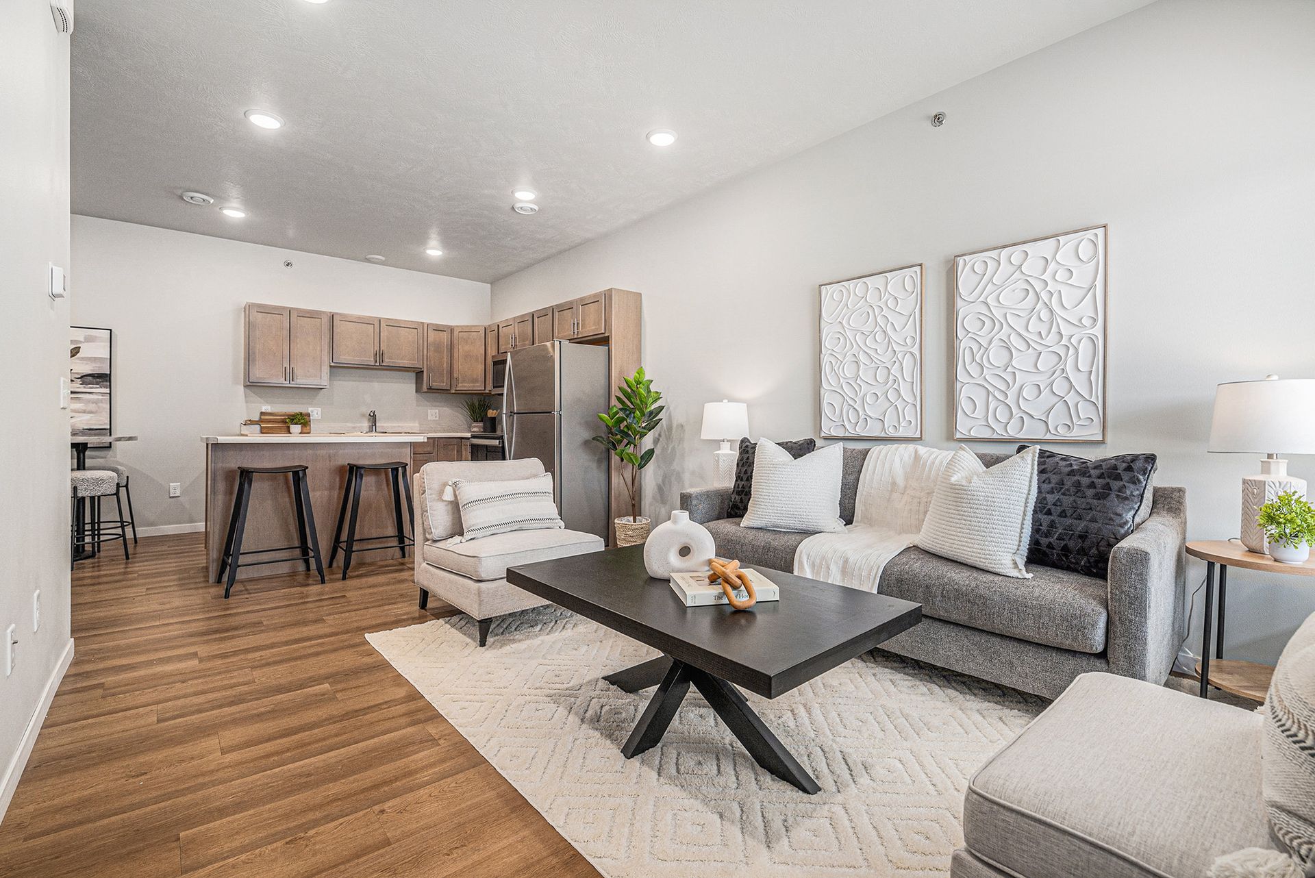 Living room and kitchen