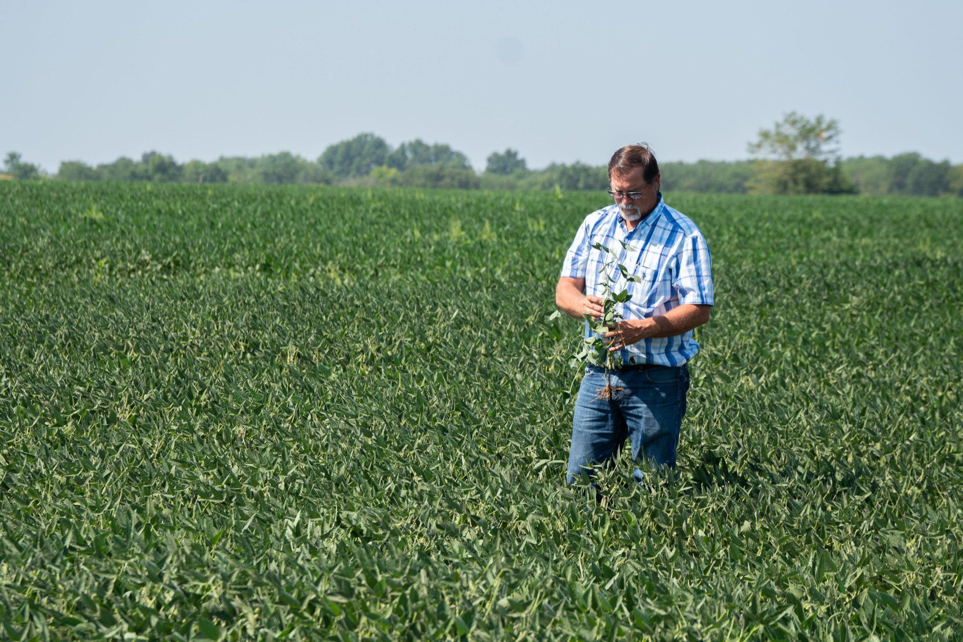 missouri farmer