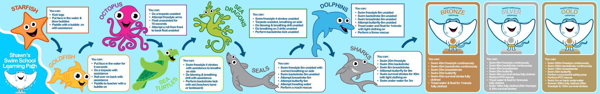 Shawn's Swim School – certificate and progress poster
