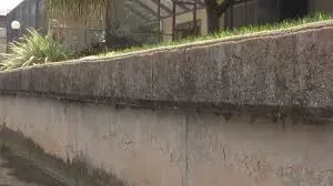 A concrete wall with grass growing on it in front of a house.