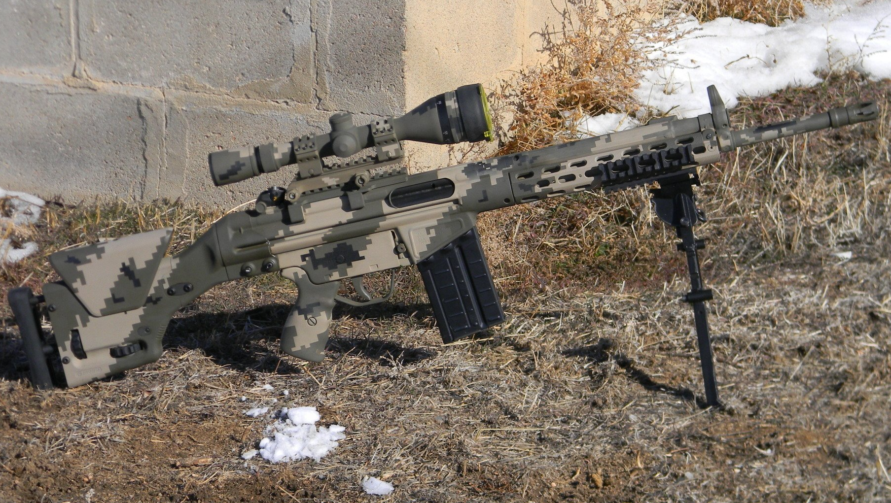 Phoenix PTR-91 HK Variant Project