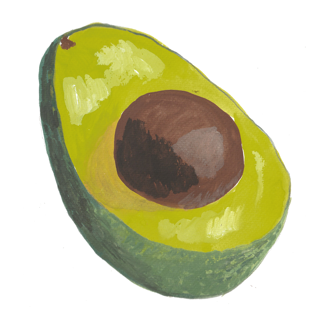 Hand-painted avocado half with dark brown pit on a white background