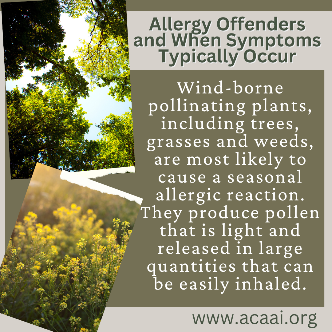 Asthma Allergy Corpus Christi Allergy and Asthma Center