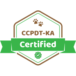 CCPDT-KA Certified