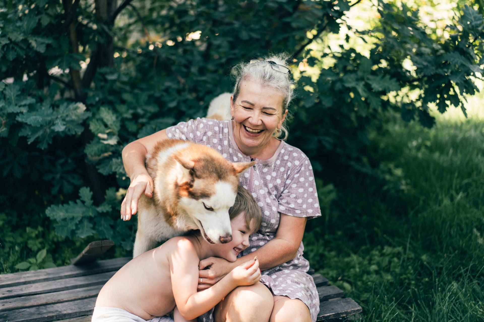 Grandma And Child Playing With Dog — Peachtree City, GA — Good Dog Happy Owner Dog Training LLC.