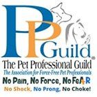 PP Guild