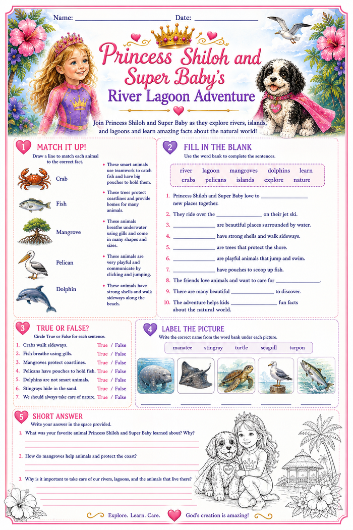 River Lagoon Learning Worksheet preview