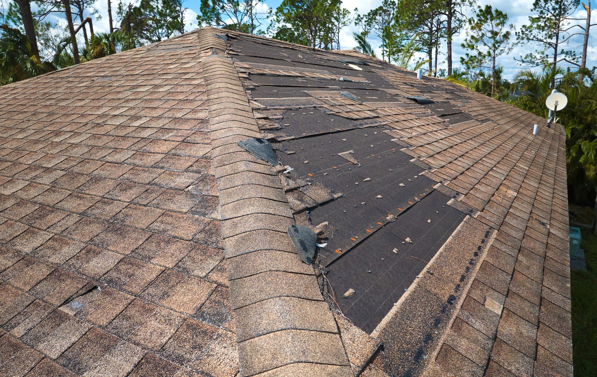 Damaged brown asphalt shingle roof with missing shingles. Outdoors, daytime.