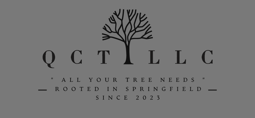 Springfield Missouri's best price tree service company, affordable, tree removal, tree trimming, Queen City Trees LLC 