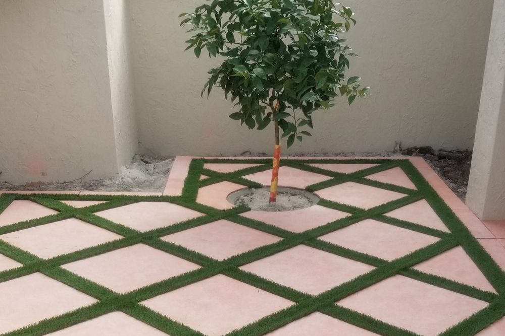 A small tree in a pink patio with green grass diamond pattern. Beige walls frame the setting.