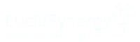 LucidSynergy Logo Device