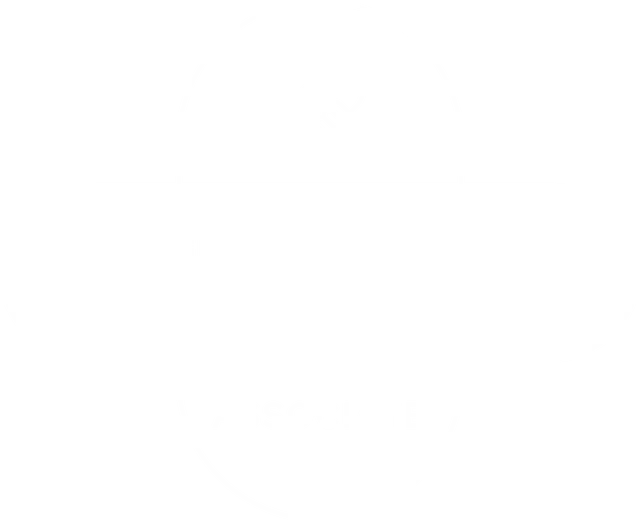 Thinkific Provider