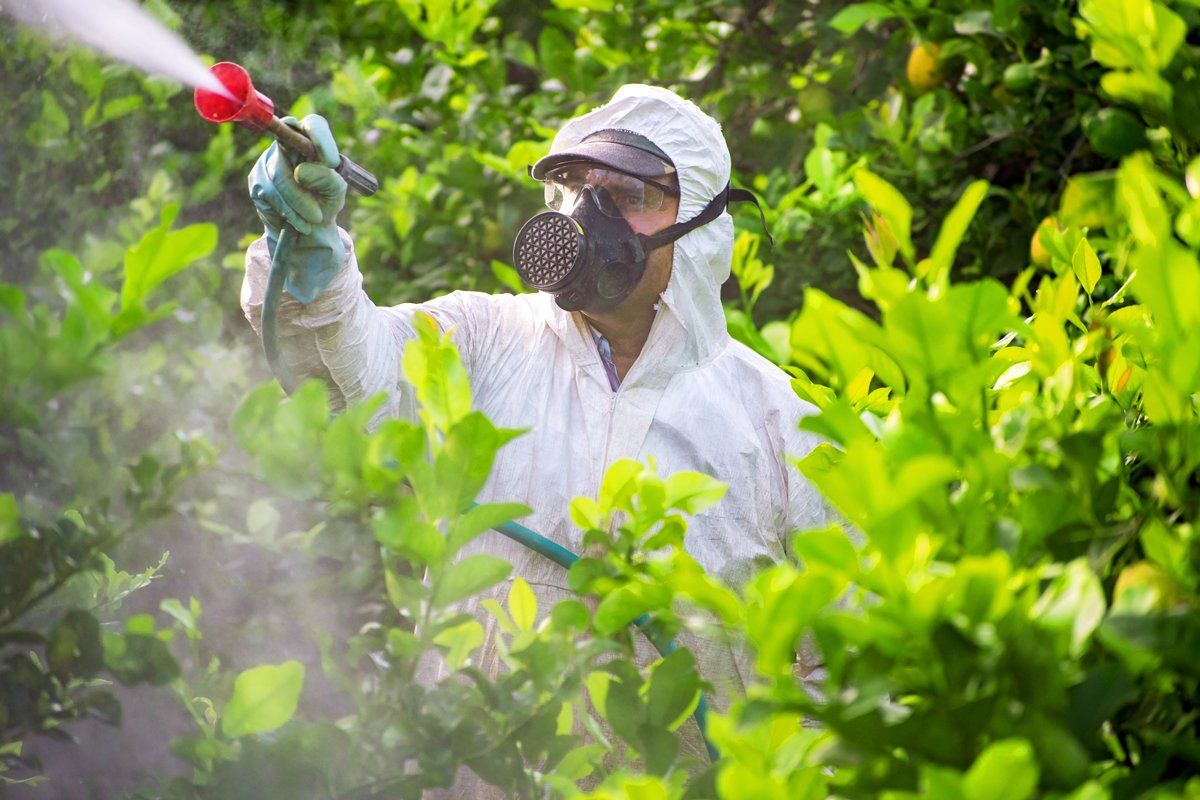 Spraying Pesticide And Insecticide — Margate, FL — Goodfellas Pest Extermination