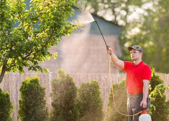 Staff Spraying Tree of Pest — Margate, FL — Goodfellas Pest Extermination