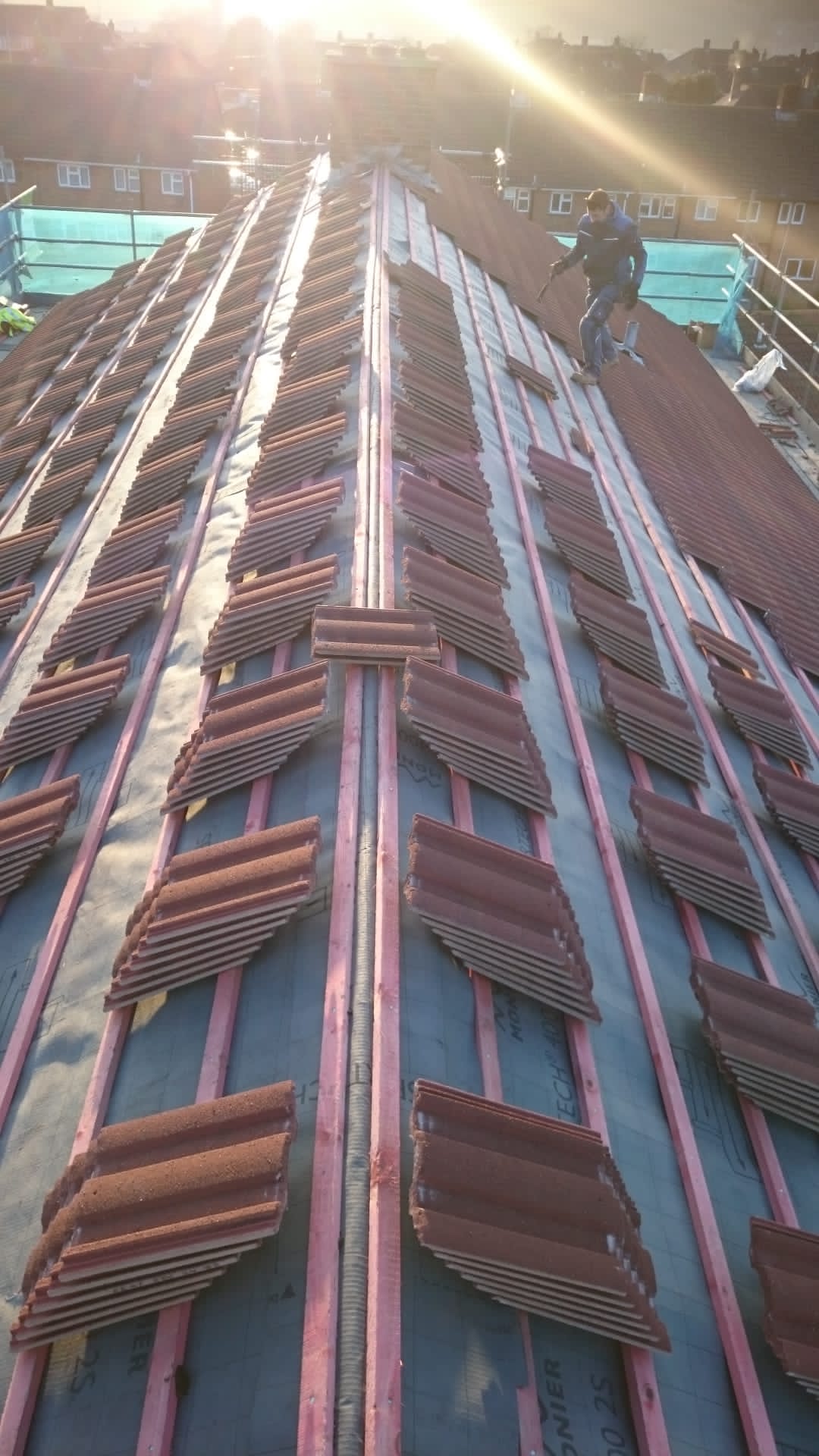 A roof with a lot of tiles on it is being built.