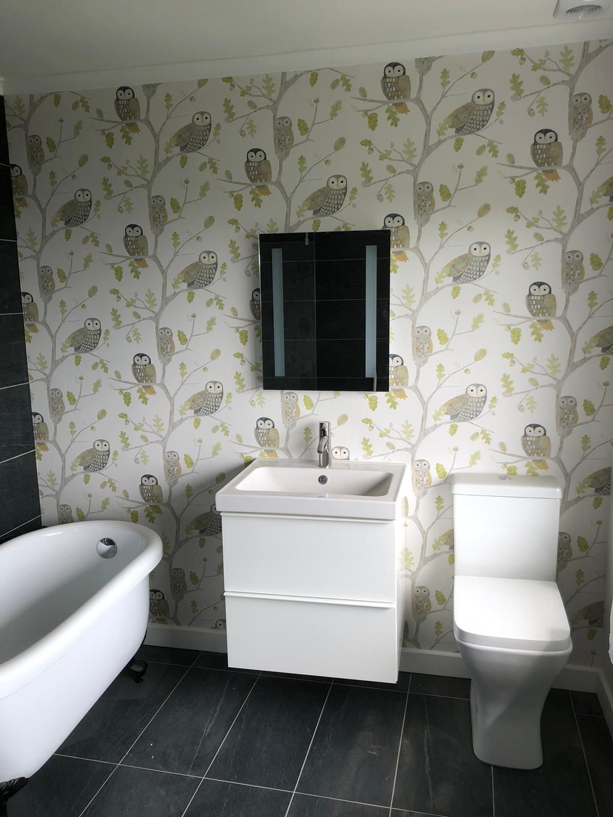 A bathroom with owls on the wall and a bathtub and toilet