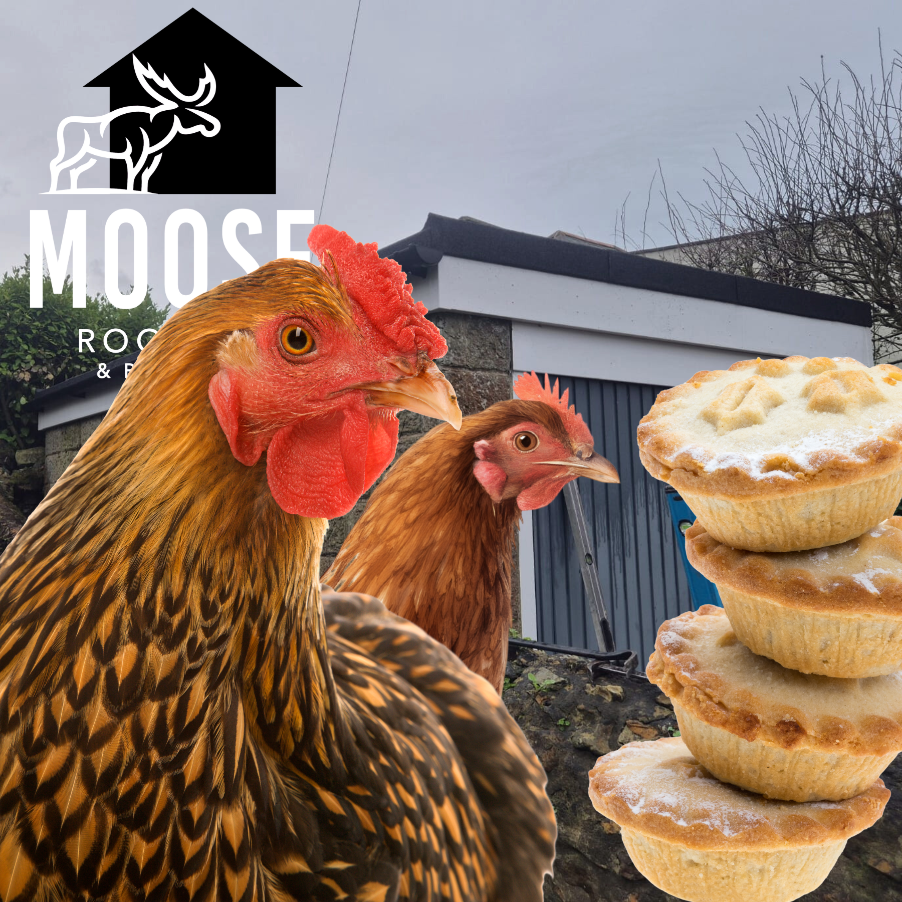 Two chickens beside a stack of mince pies, with a blurred building and Moose Roofing logo in the background.