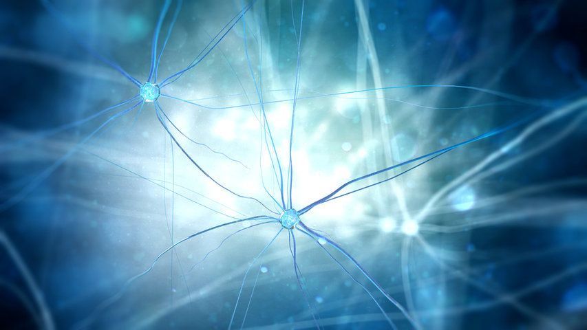 Die neuesten Diagnose- und Behandlungsmethoden inklusive intraoperativer Elektrophysiologie, um Ihre Lebensqualität zu verbessern.