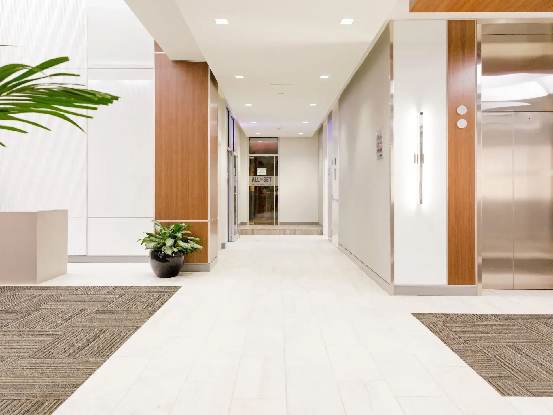 A hallway with a plant in the middle of it