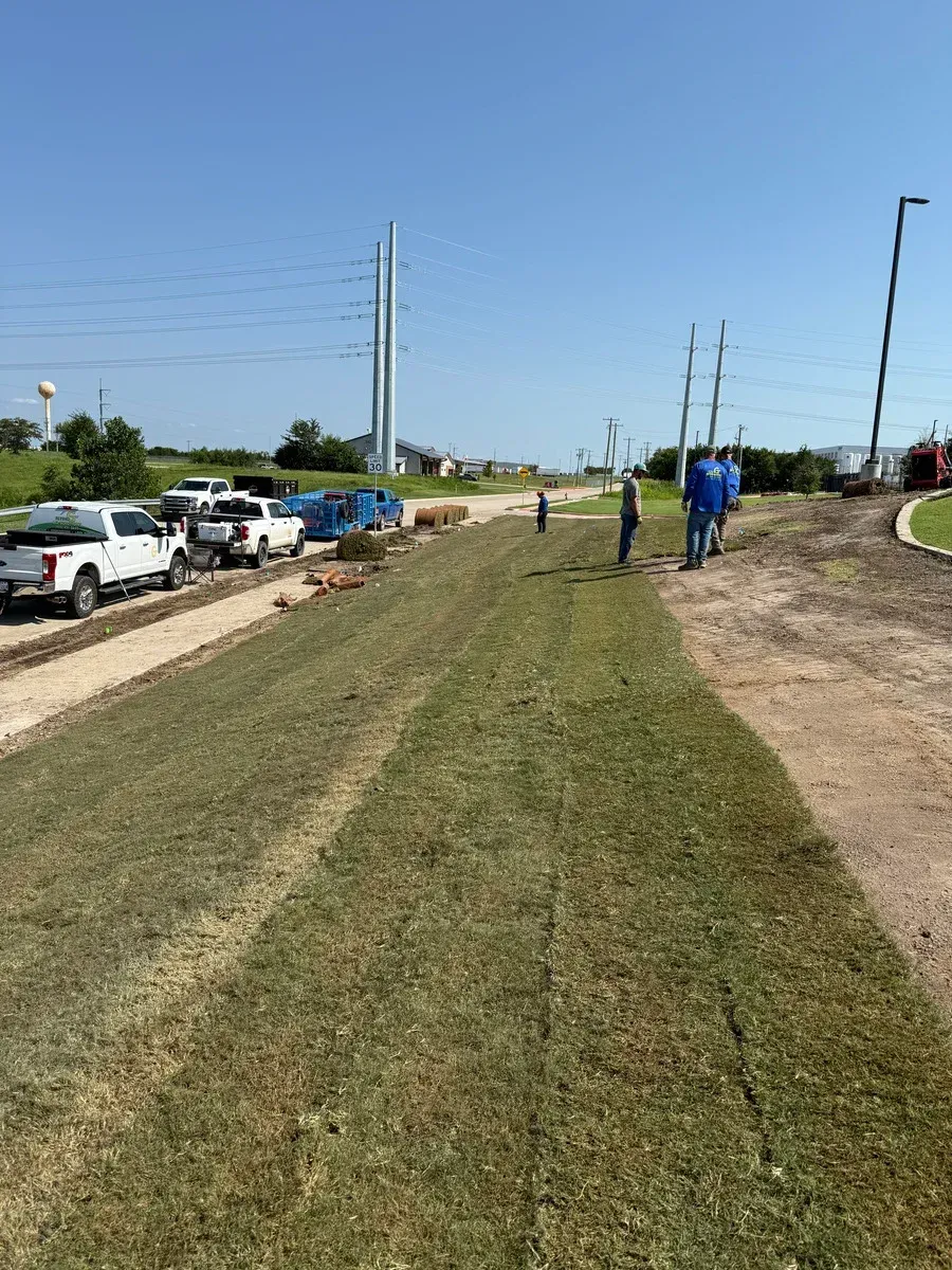 best sod installation services