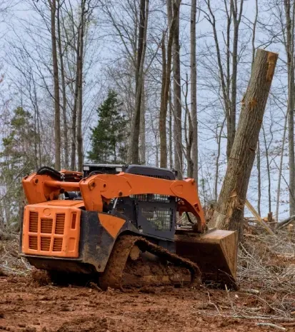 brush clearing sherman tx