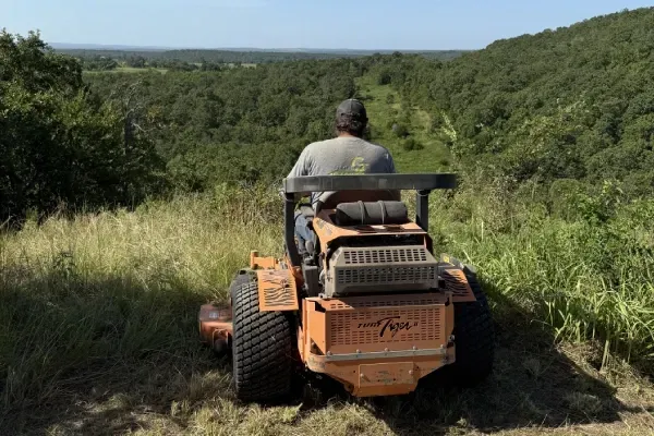 Brush removal services in Sherman TX