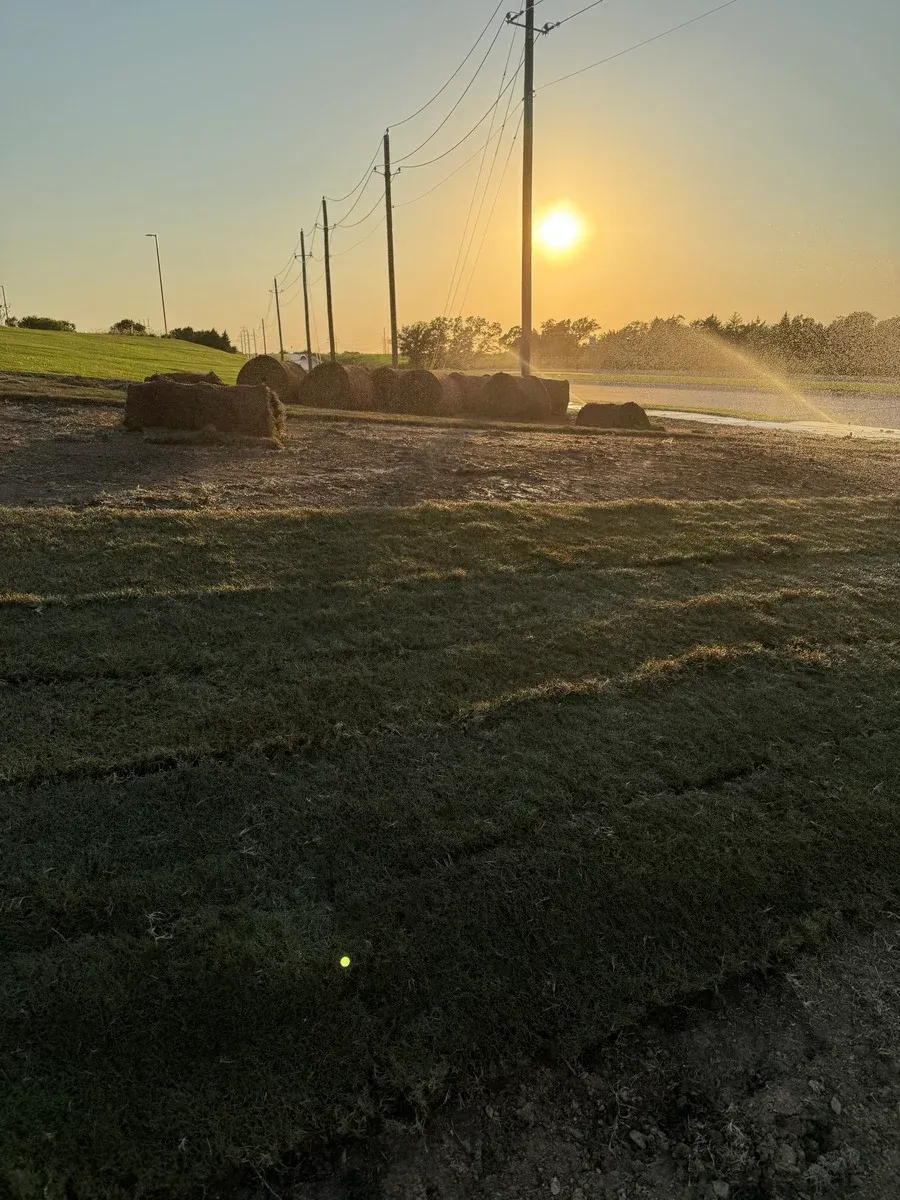 expert sod installation company projects