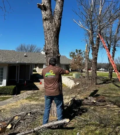 tree trimming services in sherman tx