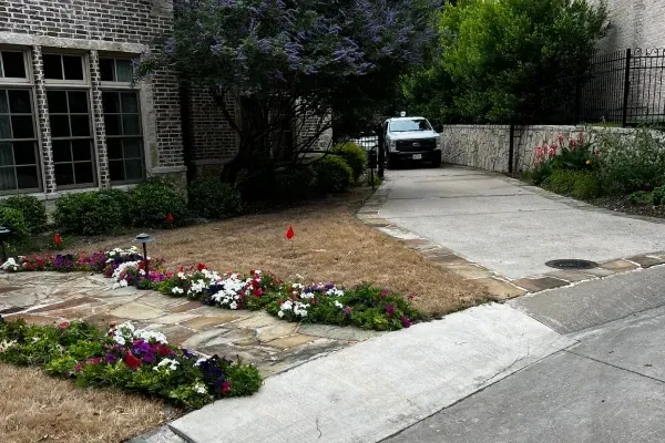 landscaping experts in sherman tx