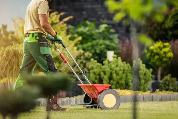 lawn maintenance services in van alstyne tx
