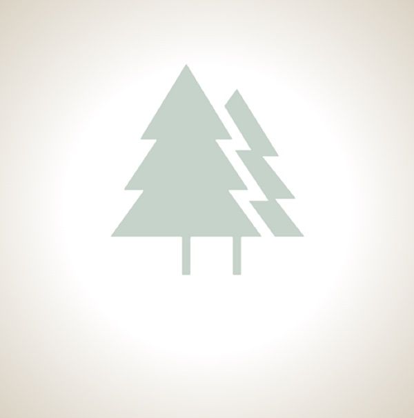 Bear Hollow Camps