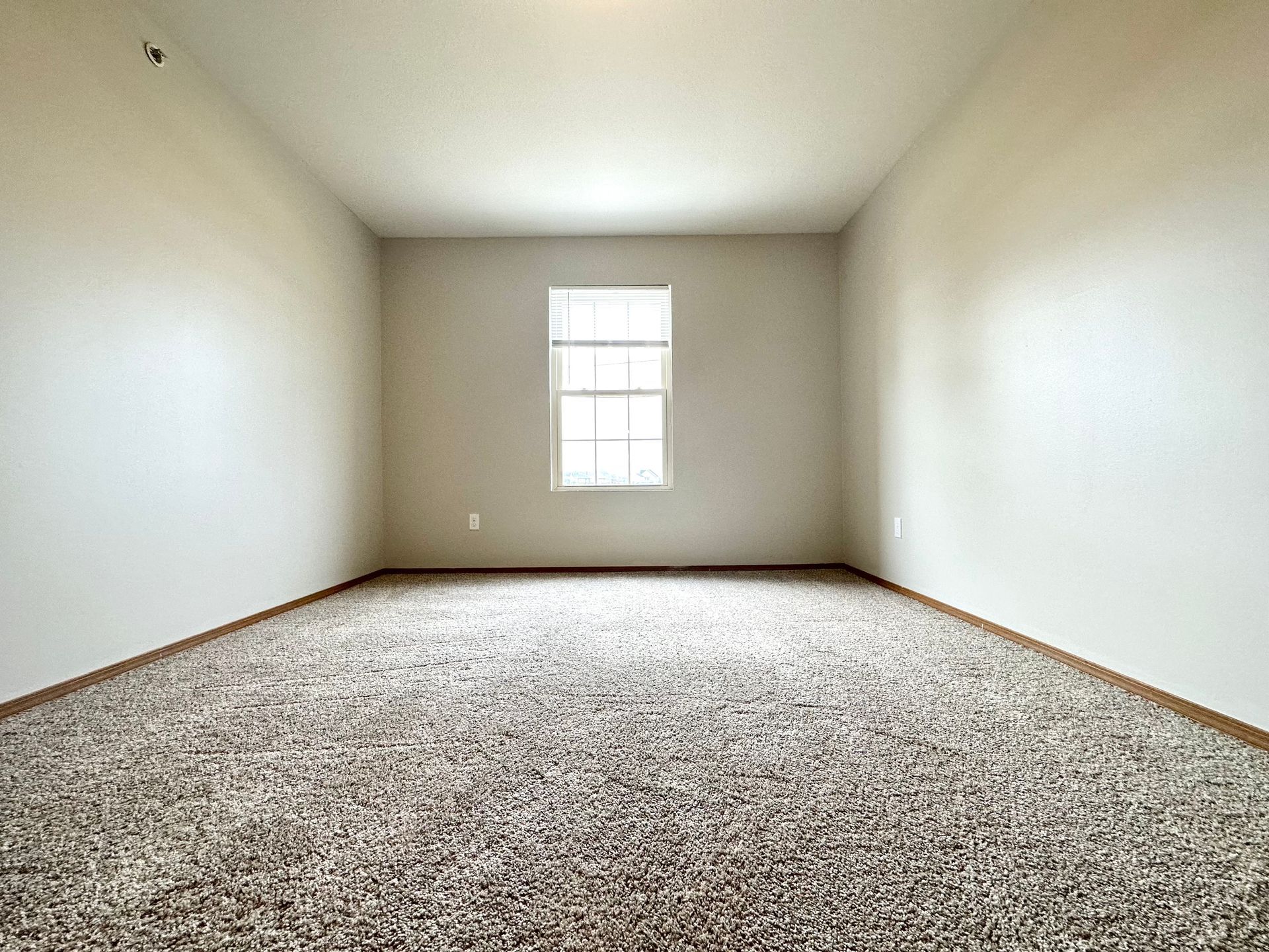 an empty room with a window and a carpeted floor .