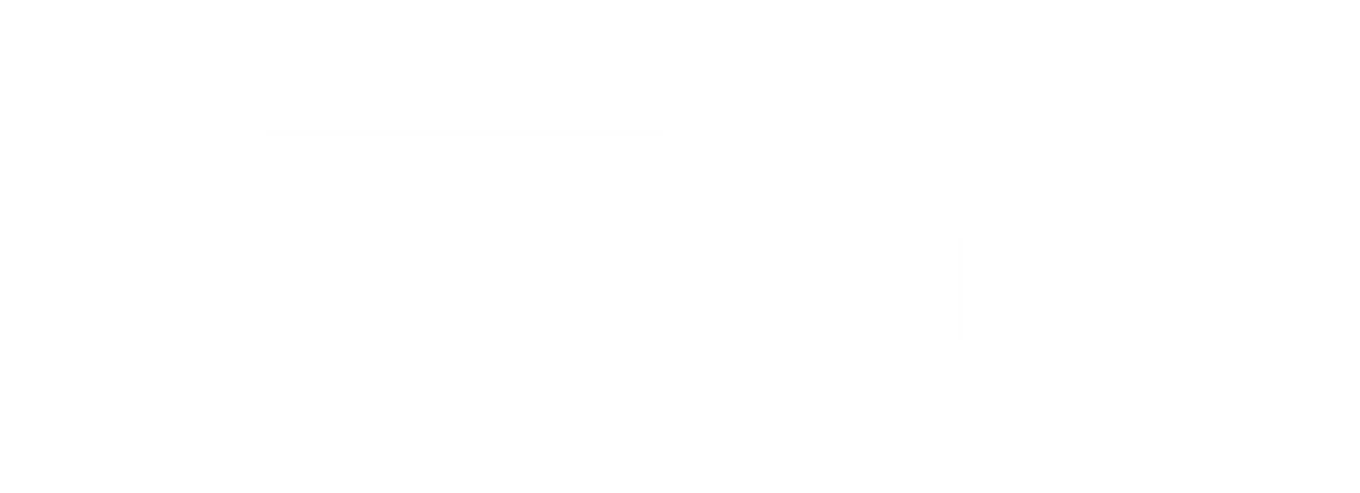 Young America Realty Company Logo