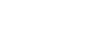 Young America Realty Company Logo
