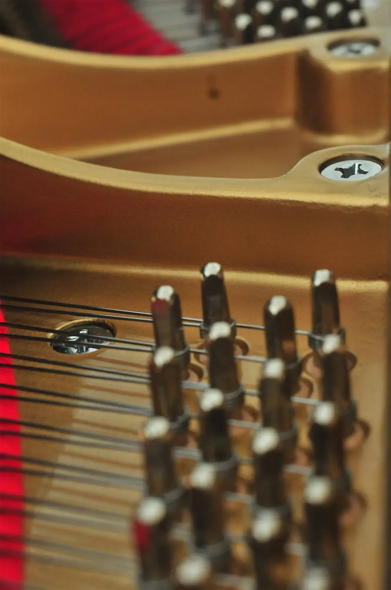 A close up of the inside of a grand piano