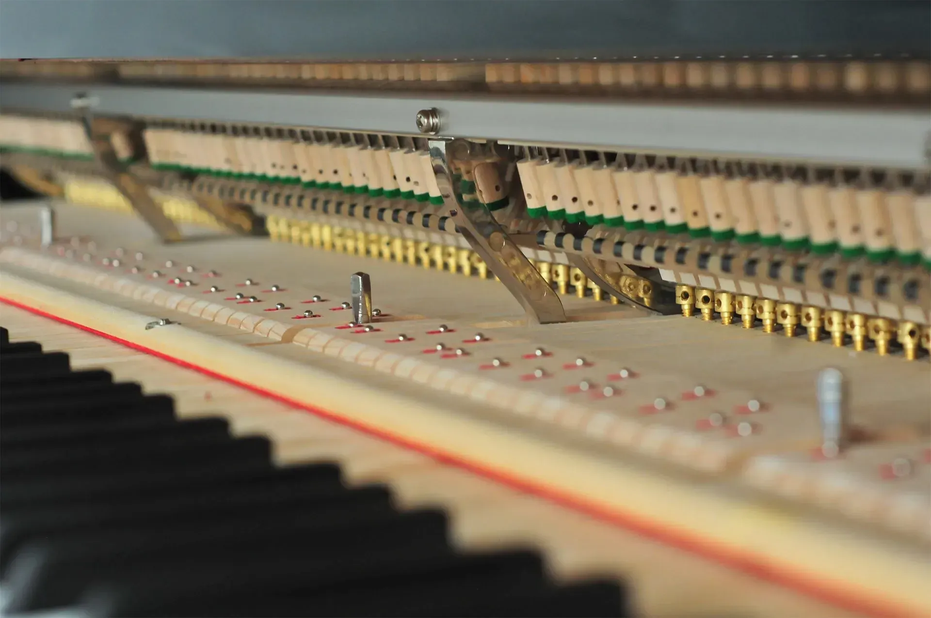 A close up of the inside of a piano showing the keys.