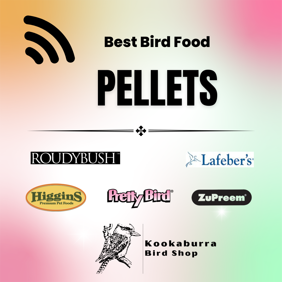 Best Bird Food Pellets Available for Parrots - Top 5