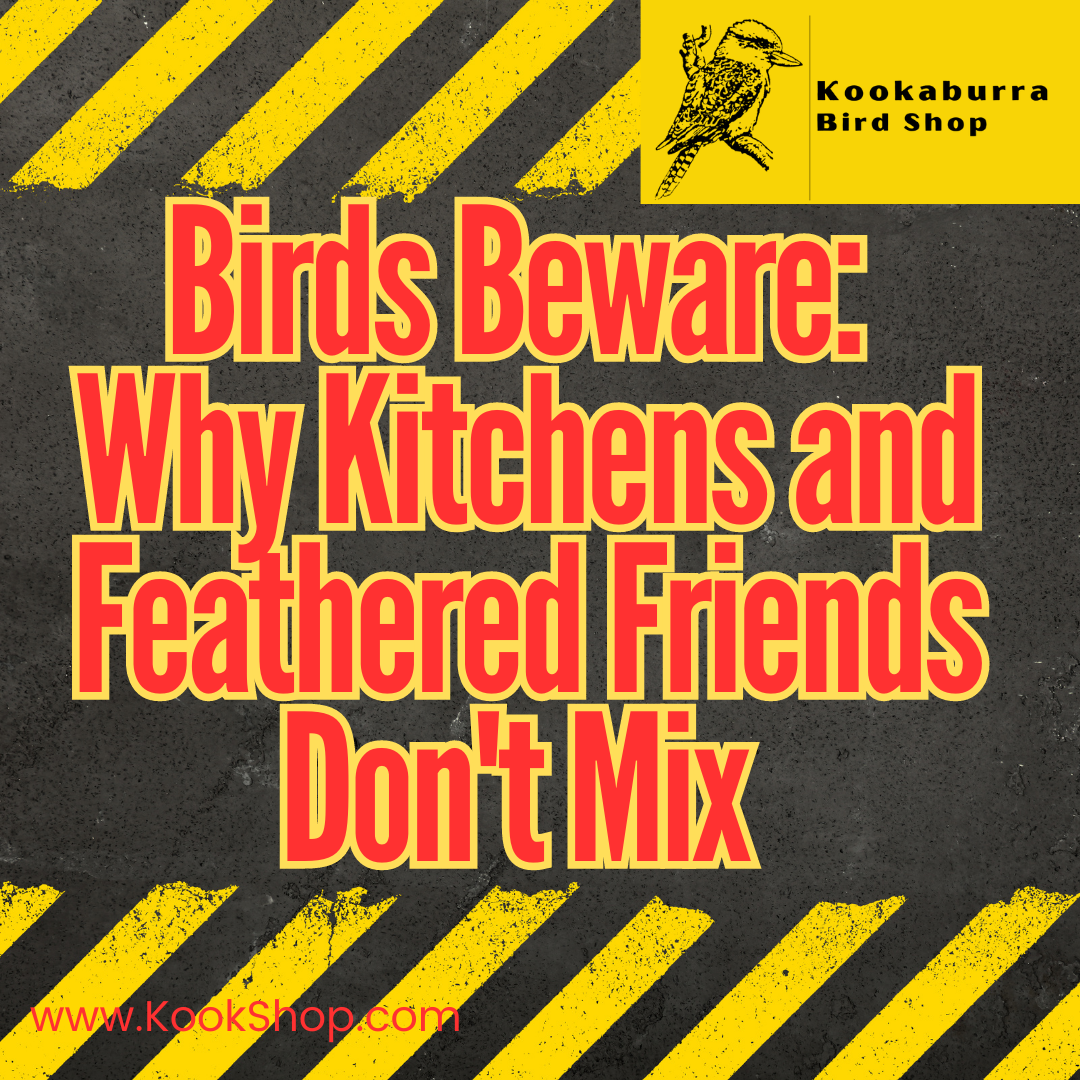 Birds & Kitchens