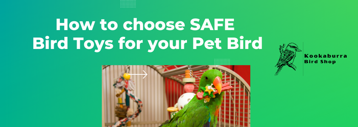 How to choose safe bird toys