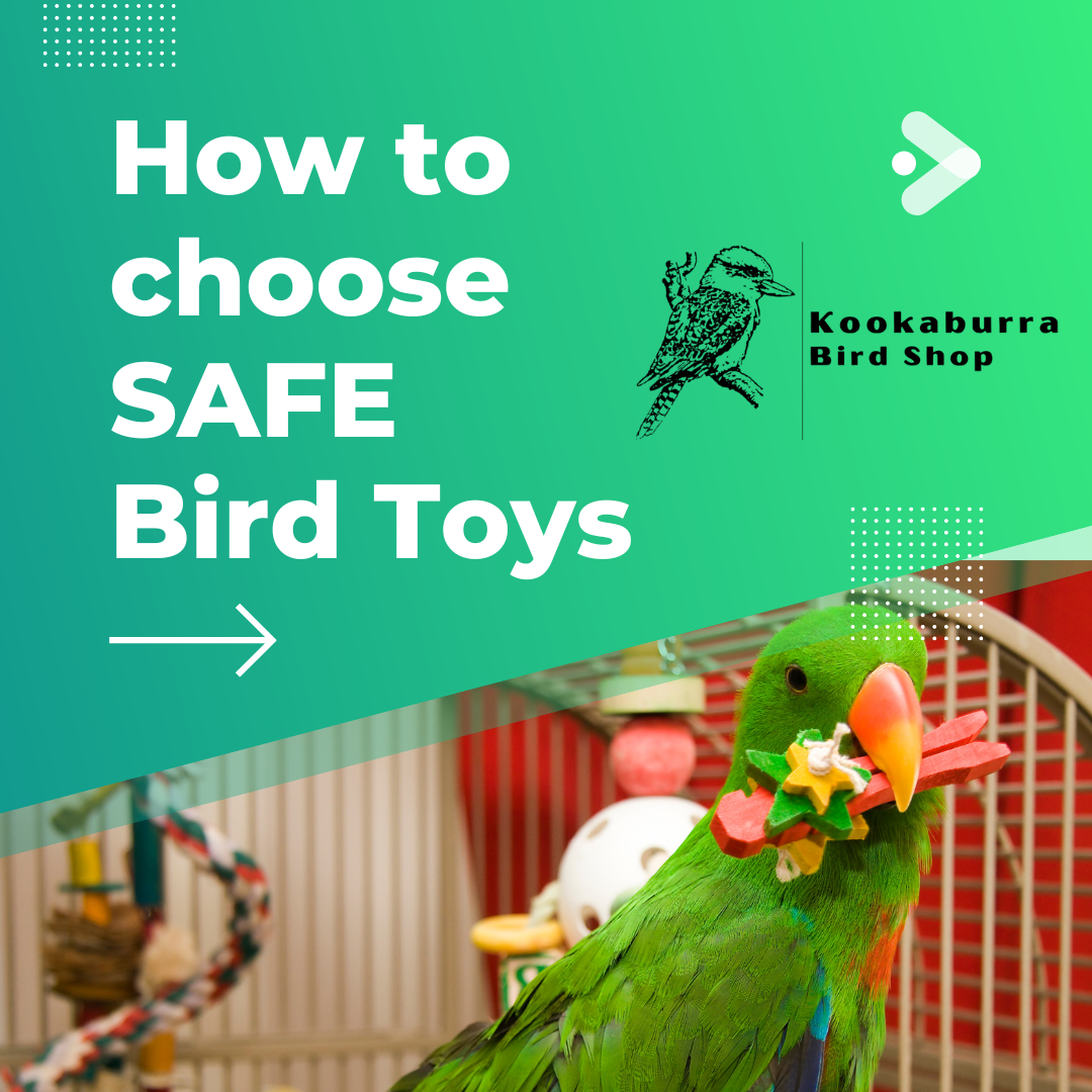 Choose Safe Bird Toys