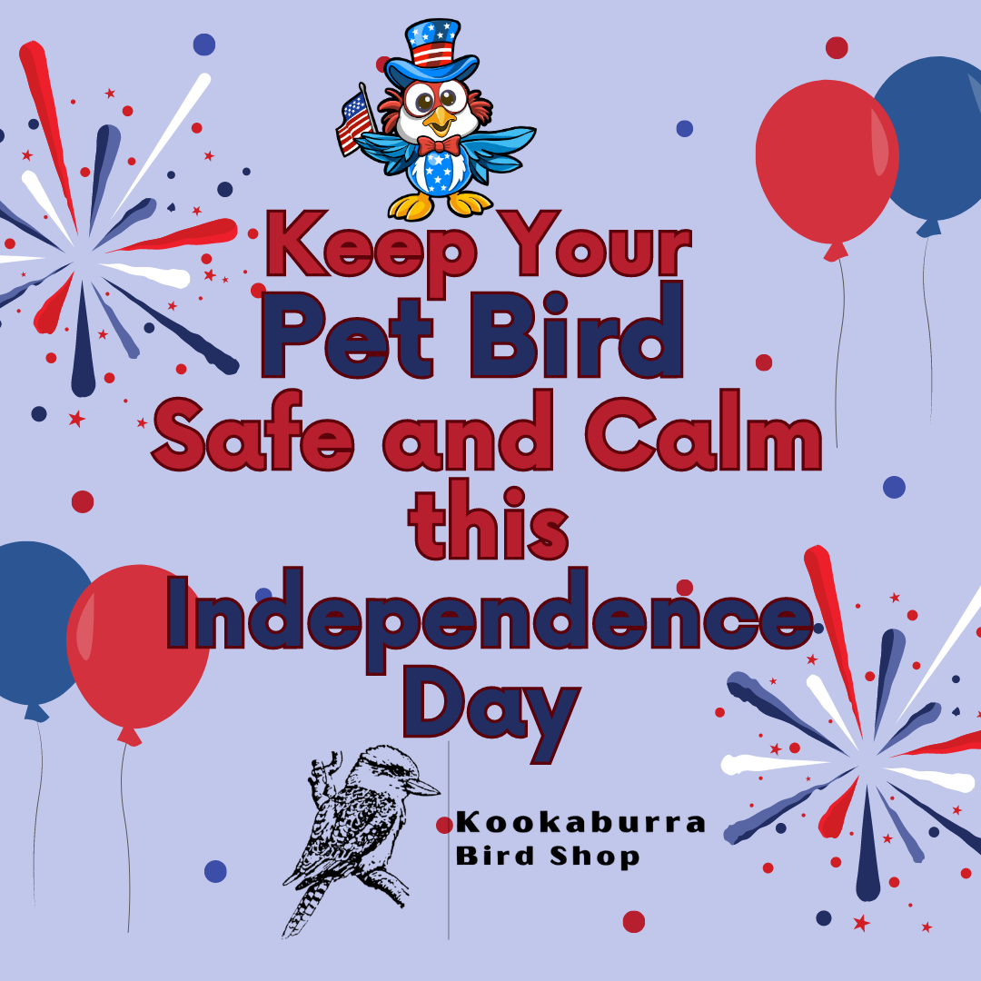 Keep your pet birds safe for July 4th