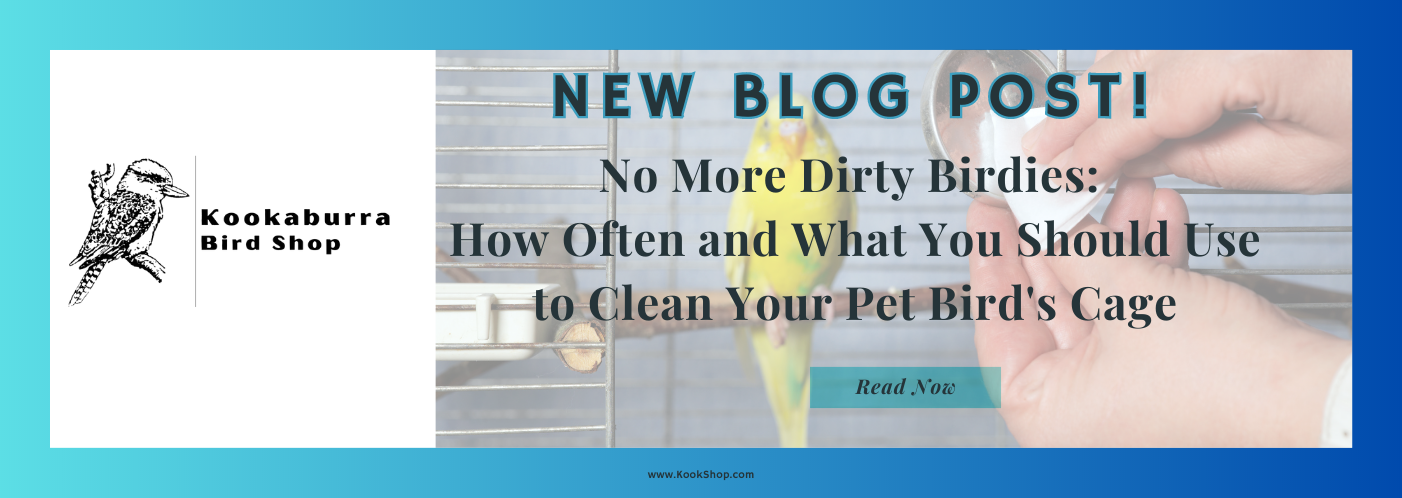 How often should you clean your parrot's cage