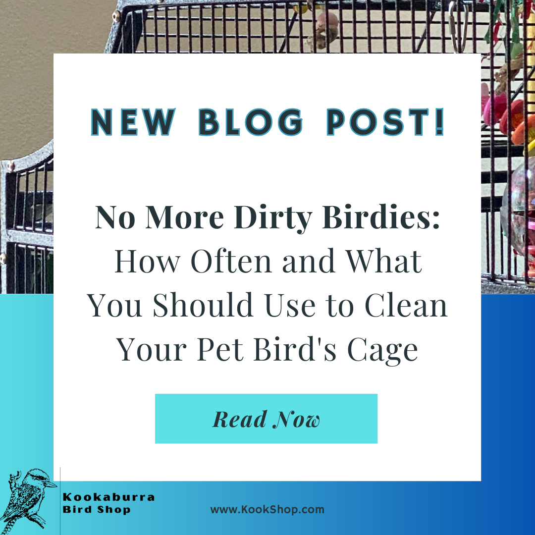 How Often and What You Should Use to Clean Your Pet Bird's Cage