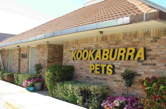 Kookaburra Bird Shop Building