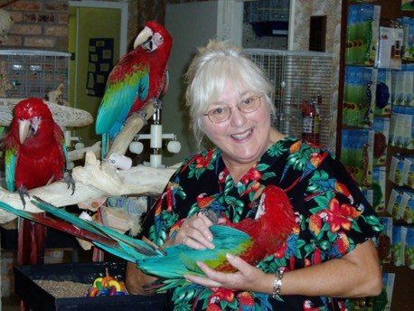 Terrie with Baby Greenwinged Macaws