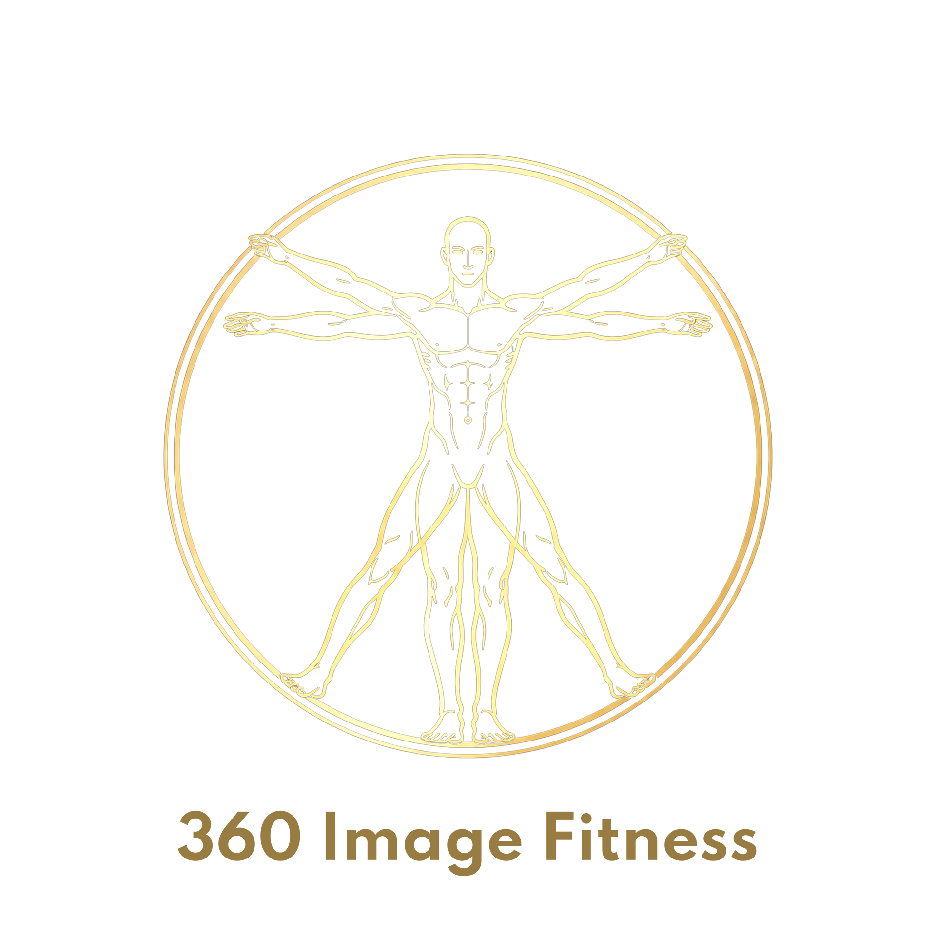 360 image fitness gold logo with a white background
