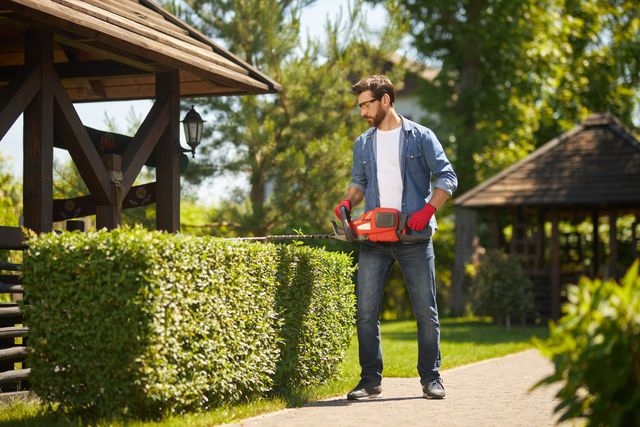 Man trims a hedge with power shears in a garden, near a gazebo. He wears jeans, a shirt, gloves.