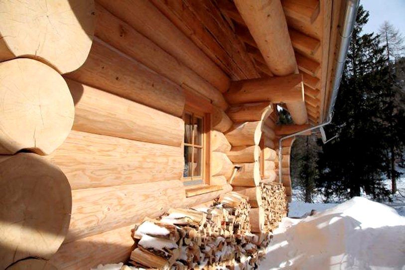 Golden Eagle Sideview